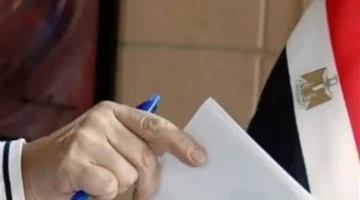 الرقم السري.. طريقة استخراج الرقم السري للناخب عبر موقع الهيئة الوطنية للانتخابات بسهولة